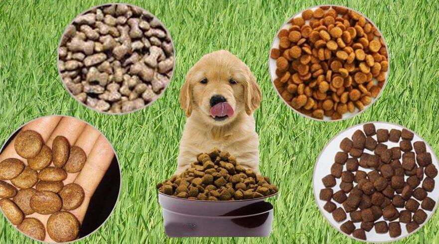 寵物食品進(jìn)口報(bào)關(guān)注意事項(xiàng)（寵物食品進(jìn)口分類）